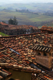 View  over the tiles and vineyards