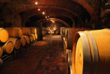 Oldest wine cellar in Barolo