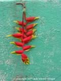 red and turquoise, solala, guatemala