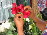 flower, antigua, guatemala