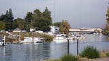 L686 Sacramento River in Walnut Grove