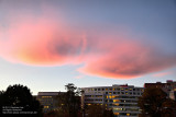 The Red Lenticular