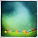 Holiday Lights