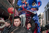 Year of the Rat 3935