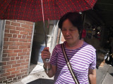 Umbrella 14634