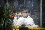 Boy In Flower Shop 20001