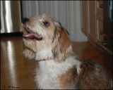 5467 Charley.jpg