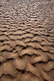 Sand ripples<p>P6120980