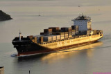 MSC Rosaria
