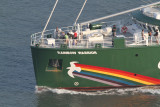 Rainbow Warrior - 28 jun 2012 - detalhe_5201.JPG