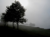 Ship in Heavy Fog