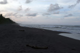 Day 41 20120429 Black Sand Beach Tortuguero  _9128.jpg