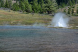 Geyser DSC03086 hdr Yellowstone   R1.jpg
