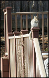 January 13, 2008                                                                                     3713.jpg
