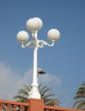 Lamppost