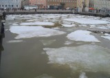 Ice Floats 4