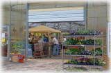 Brinkmans Country Corner greenhouse