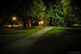 Nightscape at Island park