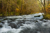 Willamette River