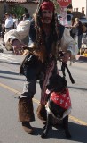 Jack Sparrow and pirate dog
