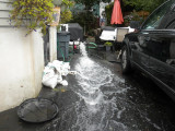 FlashFlood 100411-46.JPG