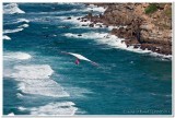 Hang Gliding Over Pacific Ocean