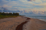 21322568florida0611-Edit.jpg