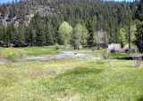 Wolf Creek Meadow