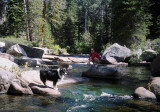 Lisa and Scout Near the Source of the Stanislaus