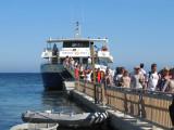 Day Trippers Returning To Playa den Bossa After A Great Day At Formentera