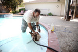 July22011_8046.jpg