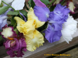 Three Irises(and a peony) in a bouquet