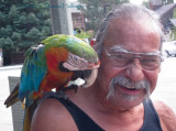 Macaw and Friend in Julian