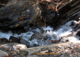 Brook Running Parallel to Turnpike Road