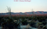 Hills look red in predawn light