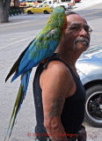 Macaw and Friend in Julian, CA