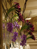 Four Seasons Hotel, Orchids and Lillies in the Lobby