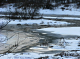Icy Edges of the River