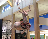 Reindeer Decoration