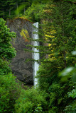 _MG_2467_First Sight_Latourell Falls_1200x.jpg