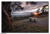 Leith Hill Sunset