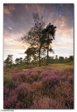 Leith Hill