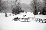 At the park in a winters snow storm