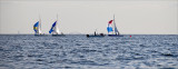 great south bay race
