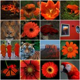 Orange Mosaic.jpg