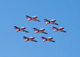 Snowbirds