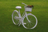 Bicycle planter.jpg