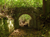 Ancient  arched  bridge  and  haulway