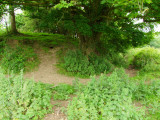 Castell  Cynon / 1    Norman  ringwork  castle.