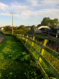 Early  sunshine  lights  up  fence  posts.